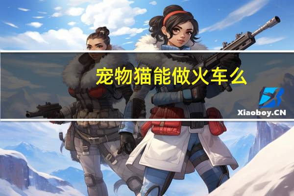 宠物猫能做火车么