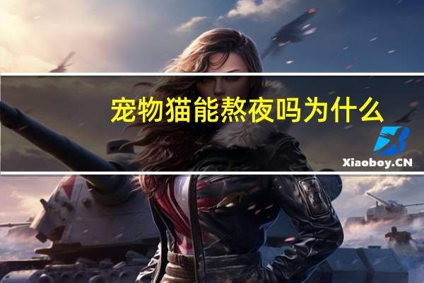宠物猫能熬夜吗为什么