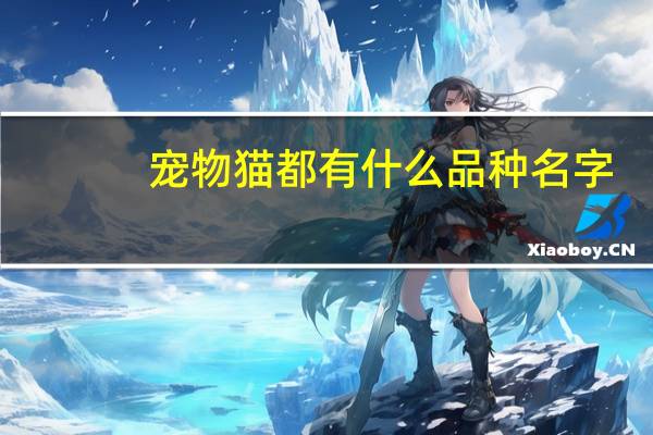 宠物猫都有什么品种名字
