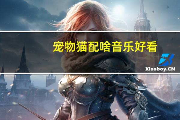 宠物猫配啥音乐好看