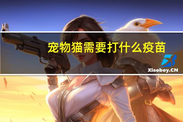 宠物猫需要打什么疫苗