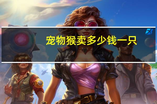 宠物猴卖多少钱一只