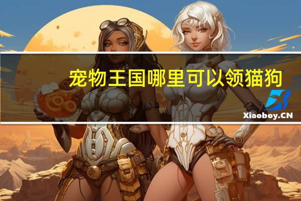 宠物王国哪里可以领猫狗