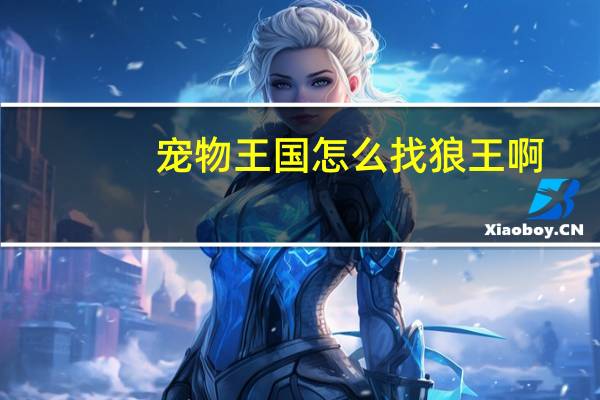 宠物王国怎么找狼王啊