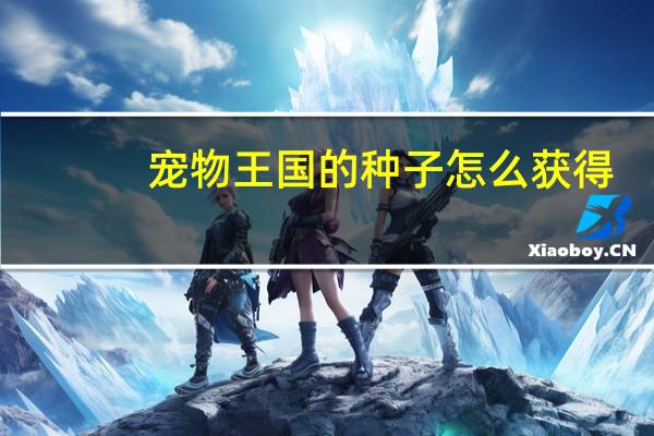 宠物王国的种子怎么获得