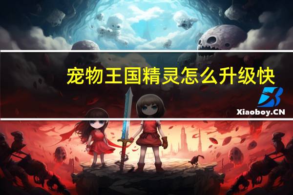 宠物王国精灵怎么升级快