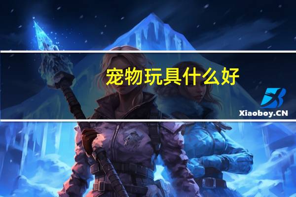 宠物玩具什么好