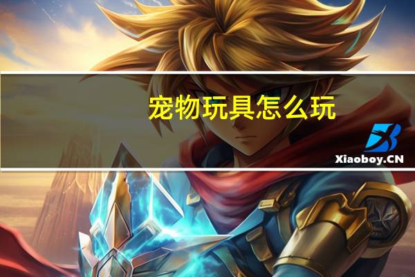 宠物玩具怎么玩