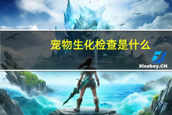宠物生化检查是什么