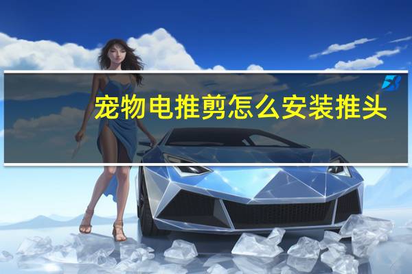 宠物电推剪怎么安装推头