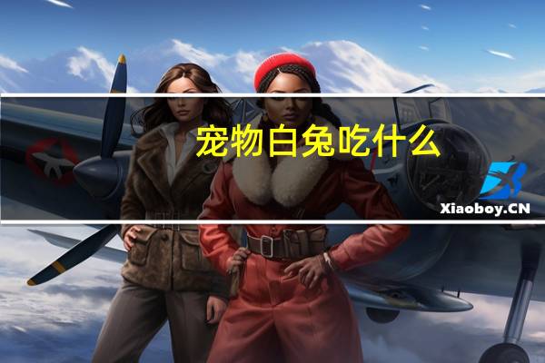 宠物白兔吃什么