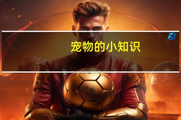 宠物的小知识