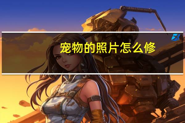 宠物的照片怎么修