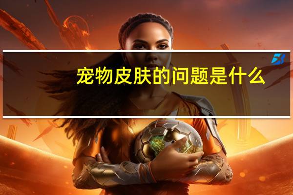 宠物皮肤的问题是什么