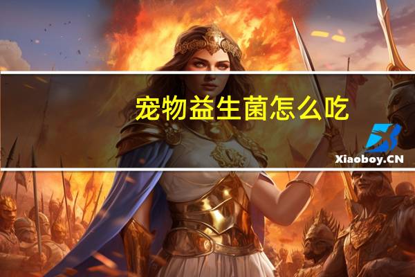 宠物益生菌怎么吃