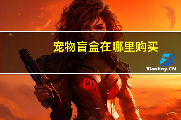宠物盲盒在哪里购买
