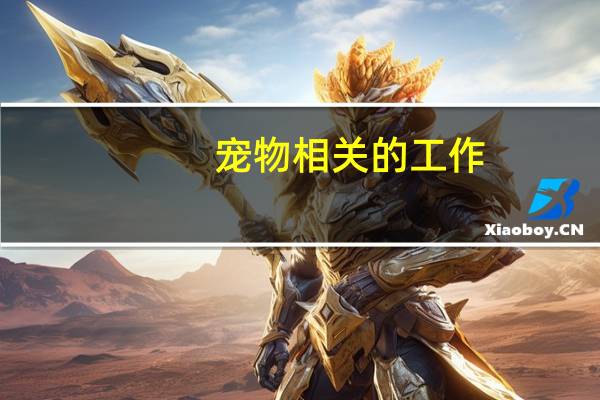 宠物相关的工作