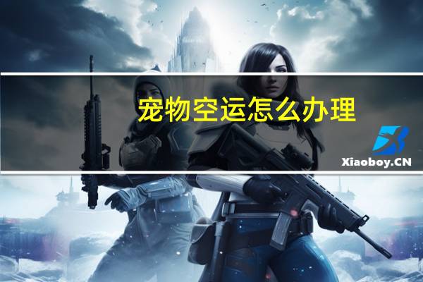 宠物空运怎么办理