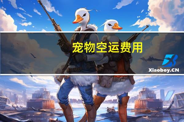宠物空运费用