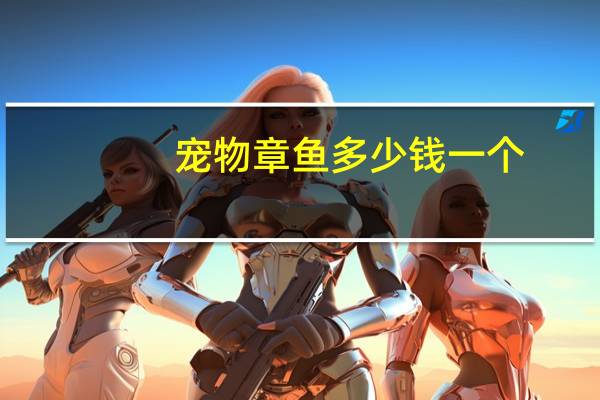 宠物章鱼多少钱一个
