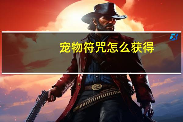 宠物符咒怎么获得