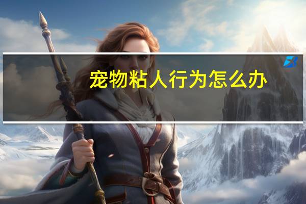 宠物粘人行为怎么办