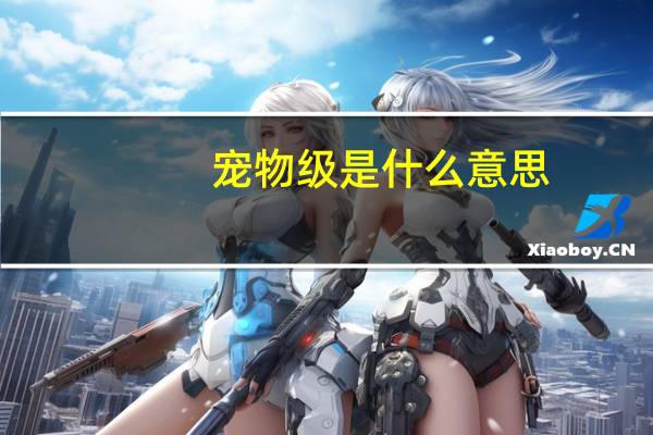 宠物级是什么意思