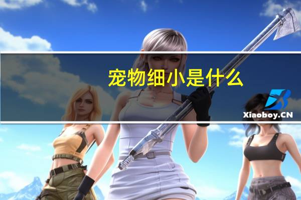 宠物细小是什么