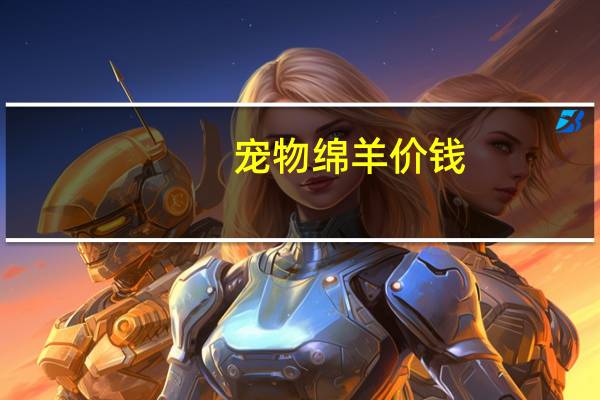 宠物绵羊价钱