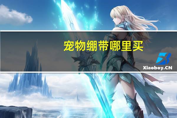 宠物绷带哪里买