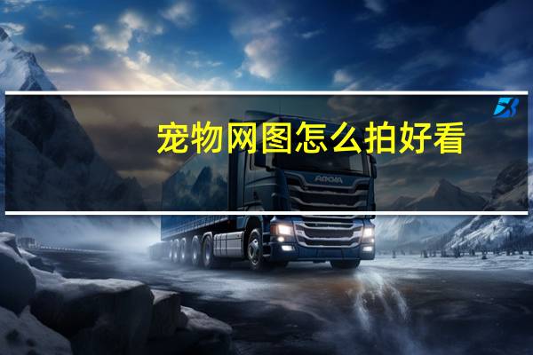 宠物网图怎么拍好看