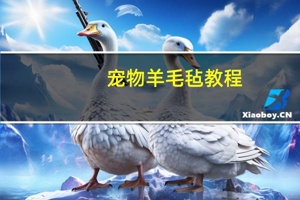 宠物羊毛毡教程