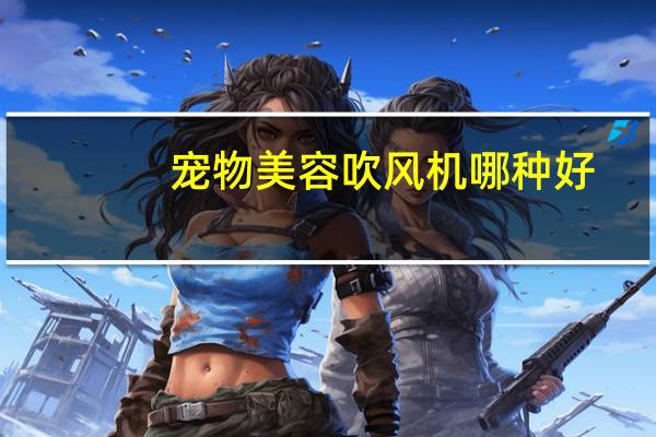 宠物美容吹风机哪种好
