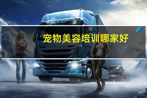 宠物美容培训哪家好
