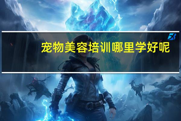 宠物美容培训哪里学好呢