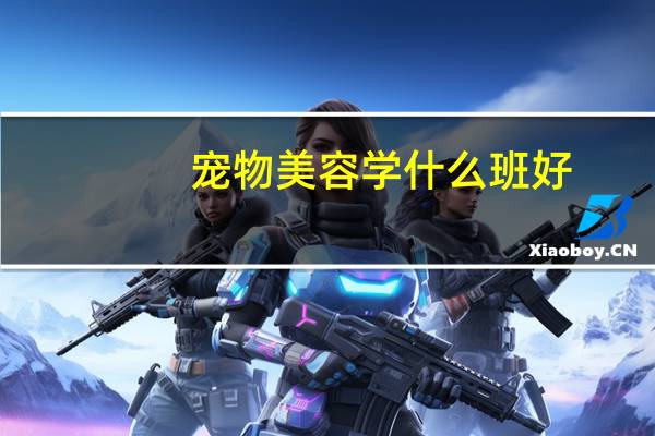 宠物美容学什么班好