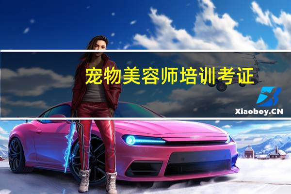 宠物美容师培训考证
