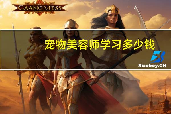 宠物美容师学习多少钱