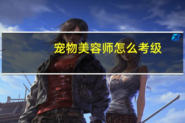 宠物美容师怎么考级