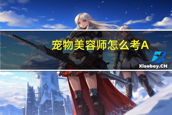 宠物美容师怎么考A