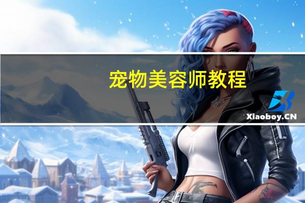 宠物美容师教程