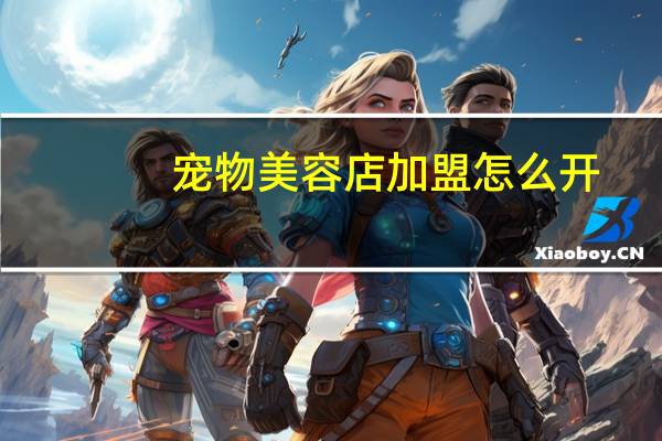 宠物美容店加盟怎么开