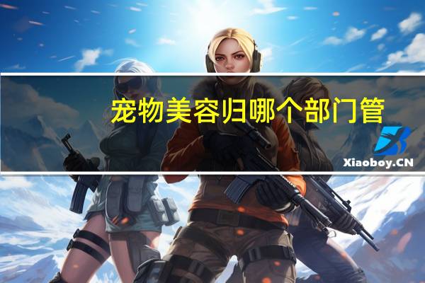 宠物美容归哪个部门管