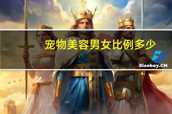 宠物美容男女比例多少