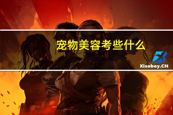 宠物美容考些什么
