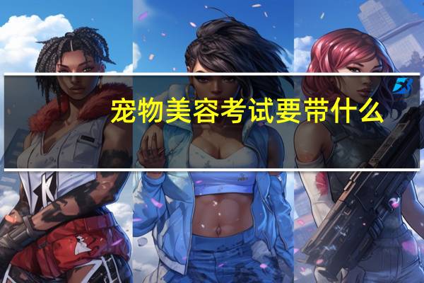 宠物美容考试要带什么