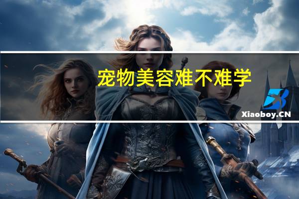 宠物美容难不难学