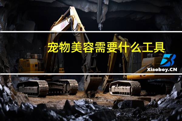 宠物美容需要什么工具