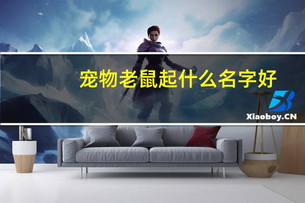 宠物老鼠起什么名字好