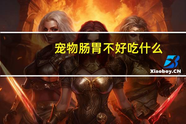 宠物肠胃不好吃什么